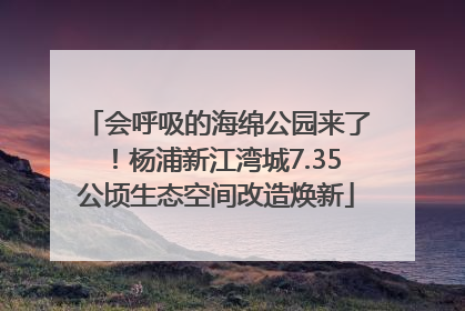 会呼吸的海绵公园来了！杨浦新江湾城7.35公顷生态空间改造焕新