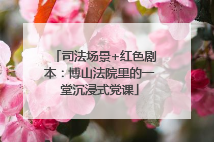 司法场景+红色剧本：博山法院里的一堂沉浸式党课