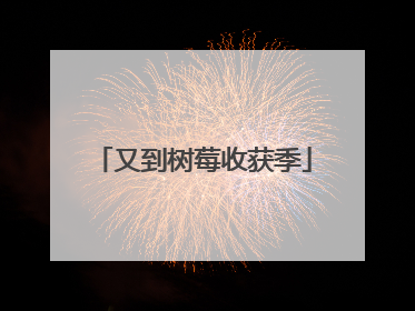 又到树莓收获季