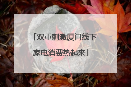 双重刺激厦门线下家电消费热起来
