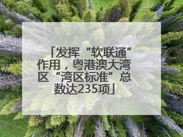 发挥“软联通”作用，粤港澳大湾区“湾区标准”总数达235项