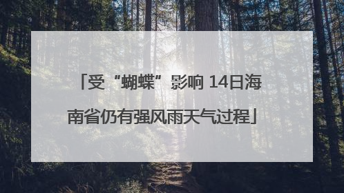 受“蝴蝶”影响 14日海南省仍有强风雨天气过程