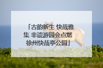 古韵新生 快哉雅集 非遗游园会点燃徐州快哉亭公园