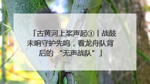 古黄河上桨声起③丨战鼓未响守护先鸣，看龙舟队背后的 “无声战队”