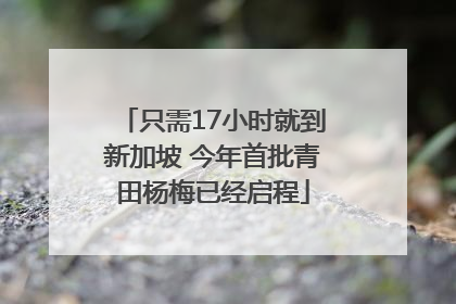只需17小时就到新加坡 今年首批青田杨梅已经启程