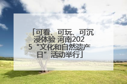 可看、可玩、可沉浸体验 河南2025“文化和自然遗产日”活动举行