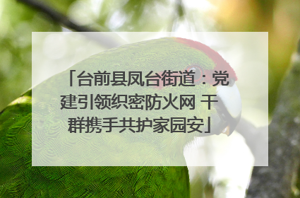 台前县凤台街道：党建引领织密防火网 干群携手共护家园安