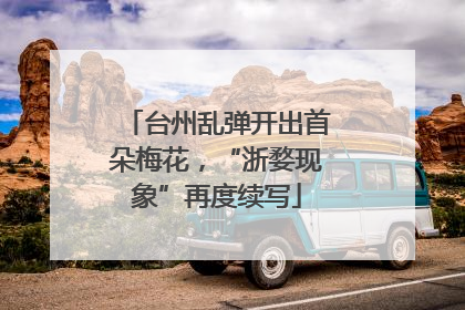 台州乱弹开出首朵梅花，“浙婺现象”再度续写