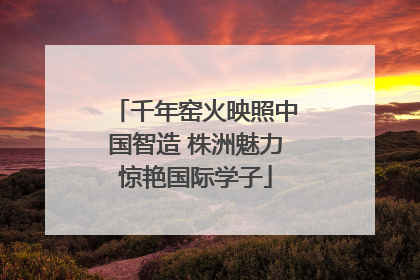 千年窑火映照中国智造 株洲魅力惊艳国际学子
