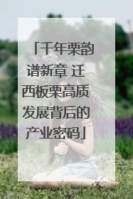 千年栗韵谱新章 迁西板栗高质发展背后的产业密码