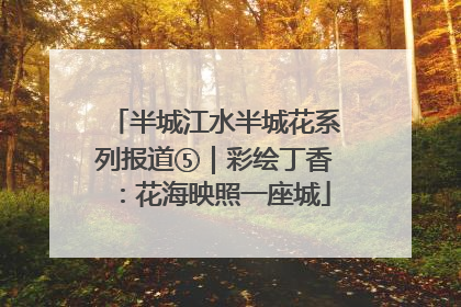 半城江水半城花系列报道⑤｜彩绘丁香：花海映照一座城