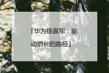 华为徐直军：驱动增长的路径