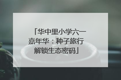华中里小学六一嘉年华：种子旅行解锁生态密码