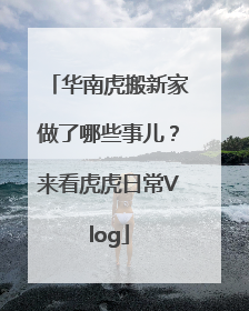 华南虎搬新家做了哪些事儿？来看虎虎日常Vlog
