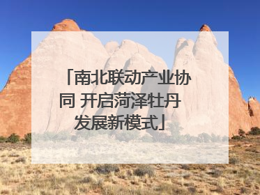 南北联动产业协同 开启菏泽牡丹发展新模式