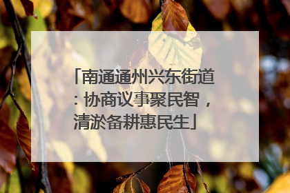 南通通州兴东街道：协商议事聚民智，清淤备耕惠民生