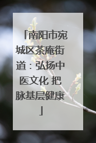 南阳市宛城区茶庵街道：弘扬中医文化 把脉基层健康