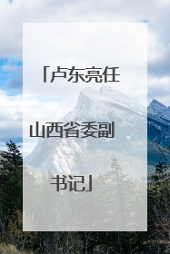 卢东亮任山西省委副书记