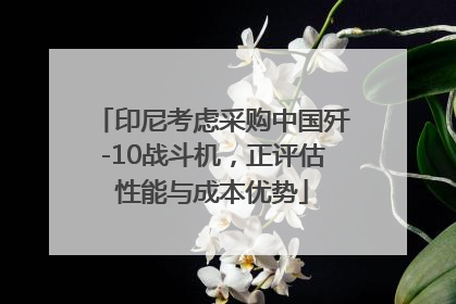 印尼考虑采购中国歼-10战斗机，正评估性能与成本优势