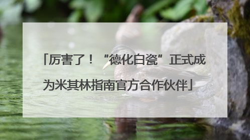 厉害了！“德化白瓷”正式成为米其林指南官方合作伙伴