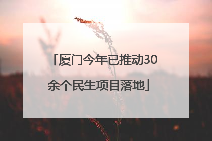 厦门今年已推动30余个民生项目落地