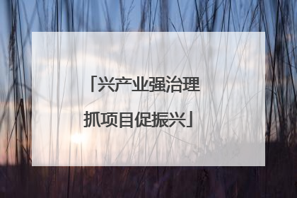 兴产业强治理 抓项目促振兴