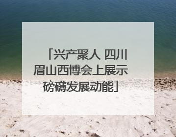 兴产聚人 四川眉山西博会上展示磅礴发展动能