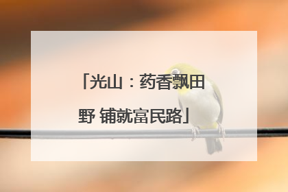 光山：药香飘田野 铺就富民路