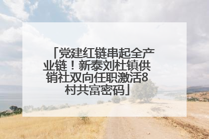 党建红链串起全产业链！新泰刘杜镇供销社双向任职激活8村共富密码