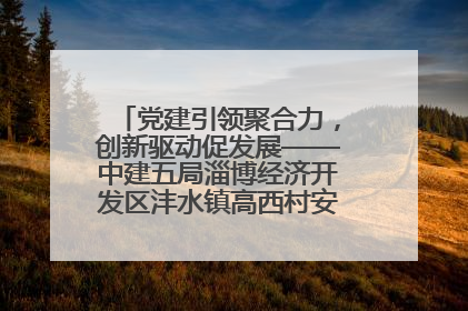 党建引领聚合力，创新驱动促发展——中建五局淄博经济开发区沣水镇高西村安置项目建设纪实