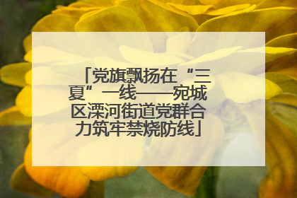 党旗飘扬在“三夏”一线——宛城区溧河街道党群合力筑牢禁烧防线