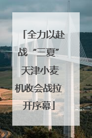 全力以赴战“三夏” 天津小麦机收会战拉开序幕