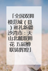 全国双拥模范城（县）巡礼新疆沙湾市：天山北麓双拥花 五届蝉联铸辉煌