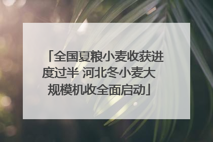 全国夏粮小麦收获进度过半 河北冬小麦大规模机收全面启动