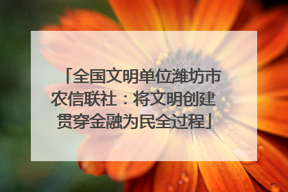 全国文明单位潍坊市农信联社：将文明创建贯穿金融为民全过程