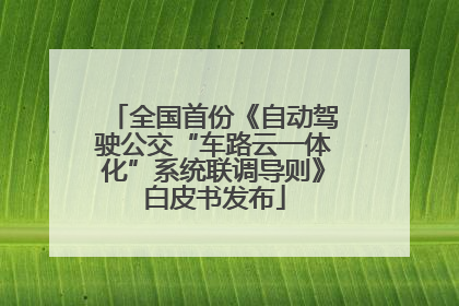 全国首份《自动驾驶公交“车路云一体化”系统联调导则》白皮书发布