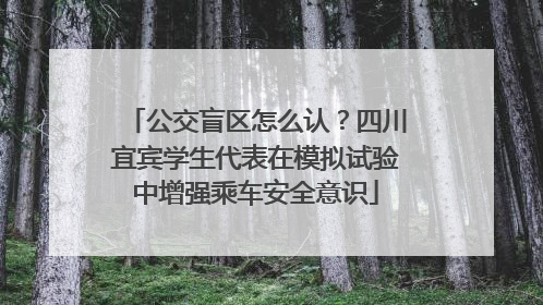 公交盲区怎么认？四川宜宾学生代表在模拟试验中增强乘车安全意识