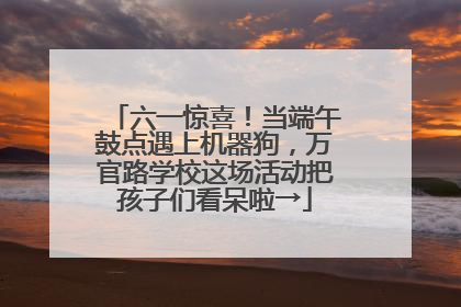 六一惊喜！当端午鼓点遇上机器狗，万官路学校这场活动把孩子们看呆啦→