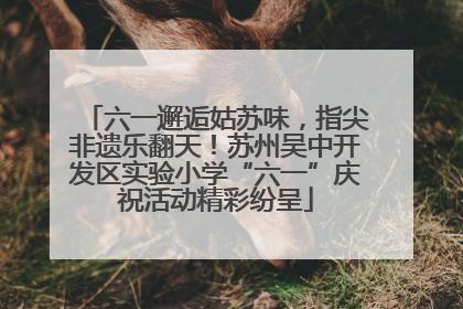 六一邂逅姑苏味，指尖非遗乐翻天！苏州吴中开发区实验小学“六一”庆祝活动精彩纷呈