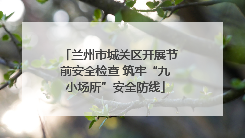 兰州市城关区开展节前安全检查 筑牢“九小场所”安全防线