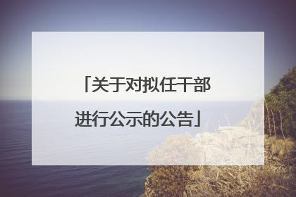 关于对拟任干部进行公示的公告