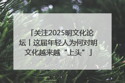 关注2025明文化论坛丨这届年轻人为何对明文化越来越“上头”