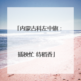 内蒙古科左中旗：插秧忙 待稻香