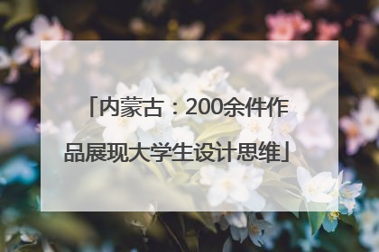 内蒙古：200余件作品展现大学生设计思维