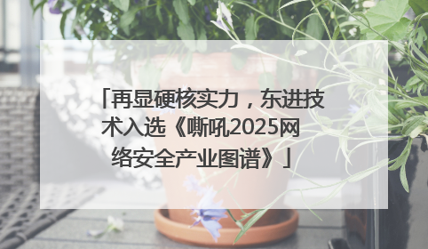 再显硬核实力，东进技术入选《嘶吼2025网络安全产业图谱》