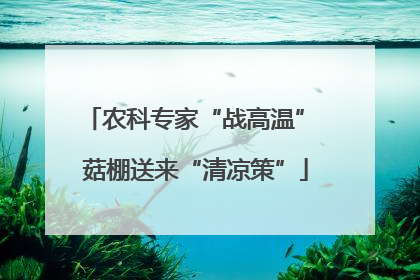 农科专家“战高温” 菇棚送来“清凉策”