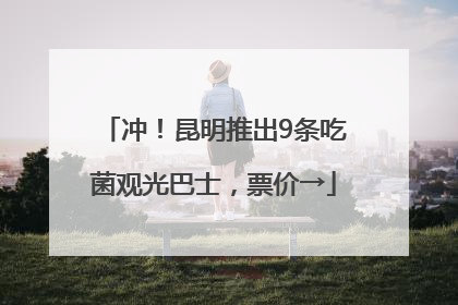 冲！昆明推出9条吃菌观光巴士，票价→