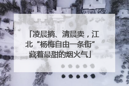 凌晨摘、清晨卖，江北“杨梅自由一条街”藏着最甜的烟火气