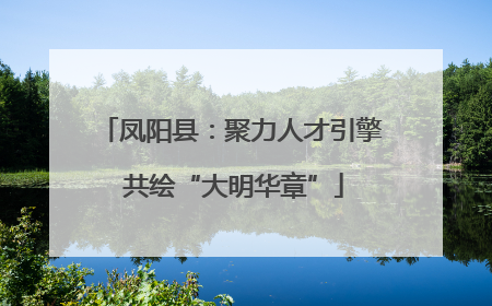 凤阳县：聚力人才引擎 共绘“大明华章”