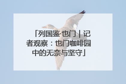 列国鉴·也门｜记者观察：也门咖啡园中的无奈与坚守